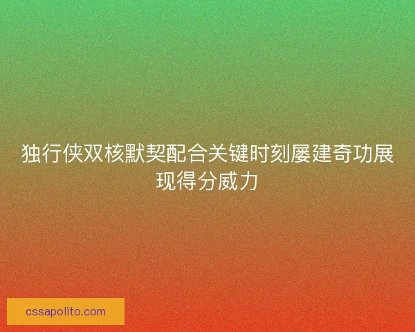 独行侠双核默契配合关键时刻屡建奇功展现得分威力