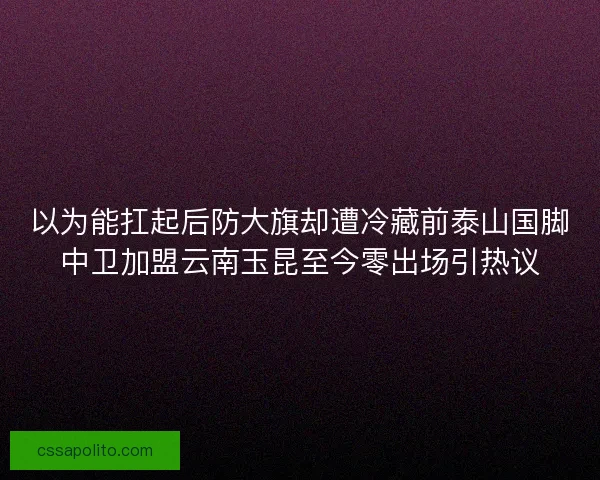 以为能扛起后防大旗却遭冷藏前泰山国脚中卫加盟云南玉昆至今零出场引热议